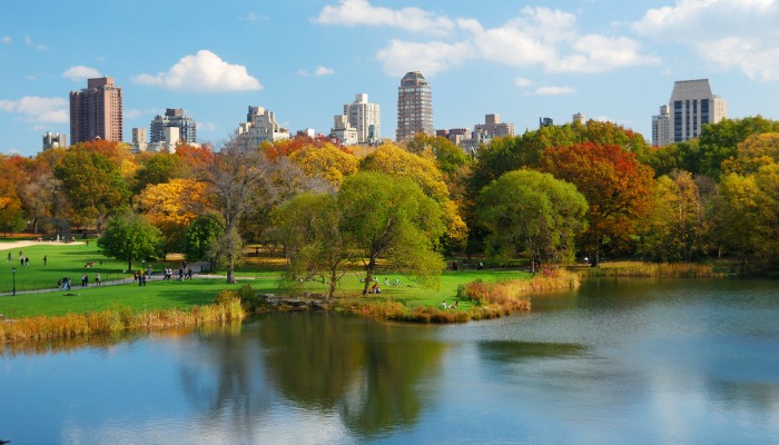 5-autumn blog - new york (2)